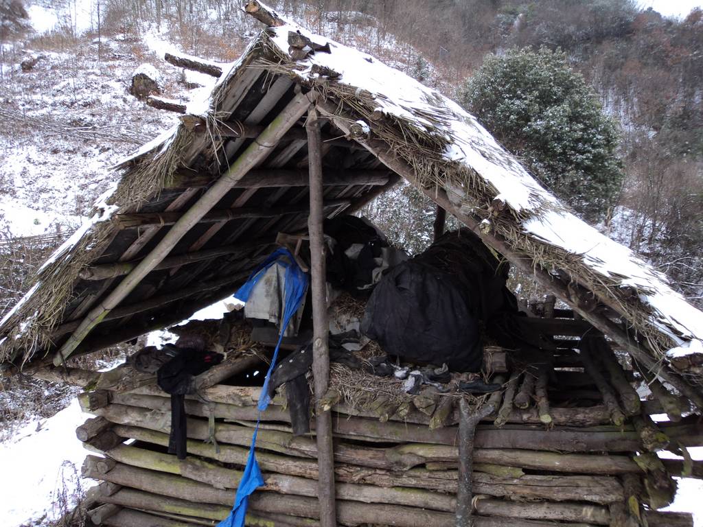 dsc04564.jpg