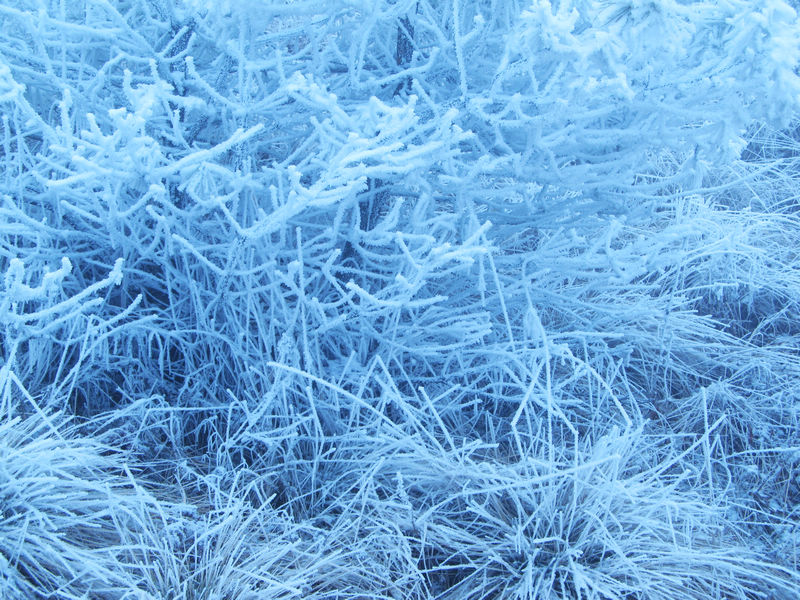 img_5653.jpg