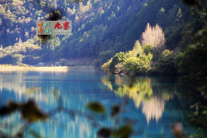 neo_img_img_7364.jpg