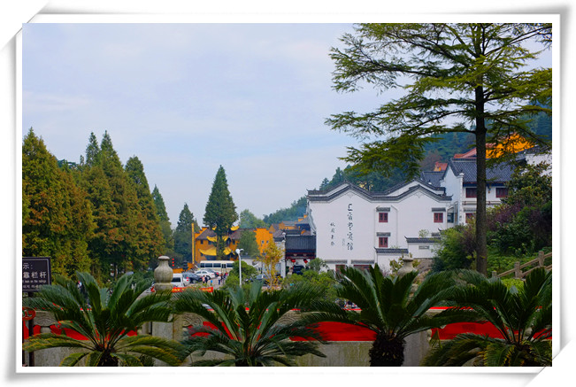 dscf0606_.jpg