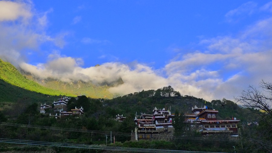 p1020471_.jpg