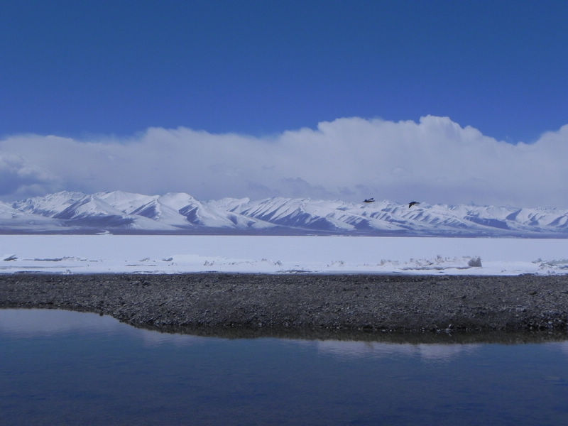 dscn4025.jpg