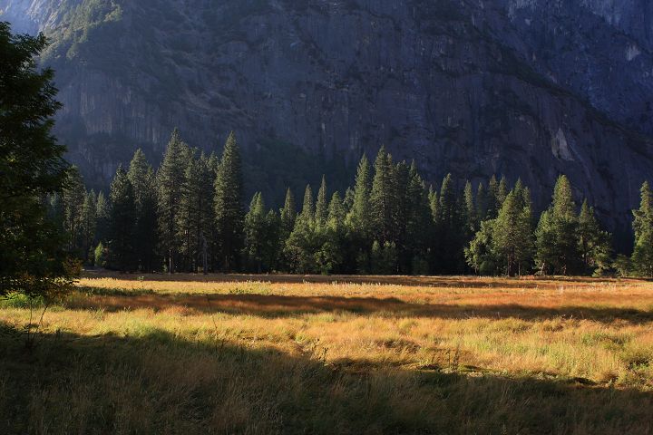img_5577.jpg