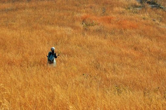 dsc_0746.jpg