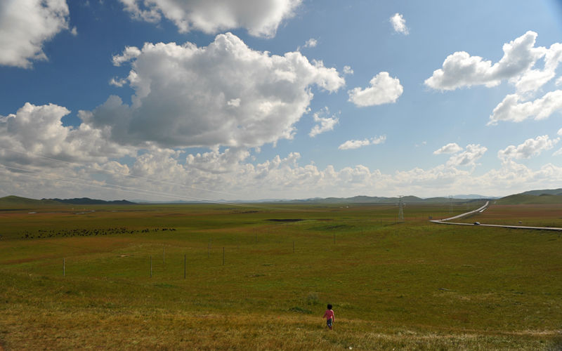 144.jpg