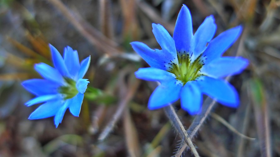 p1030170_.jpg