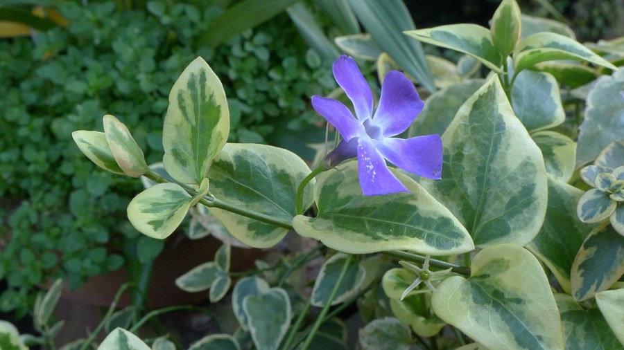 p1040005_.jpg