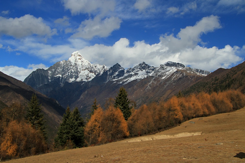 img_6746.jpg