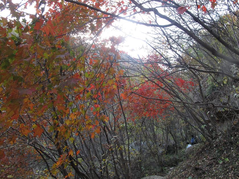 img_2619.jpg