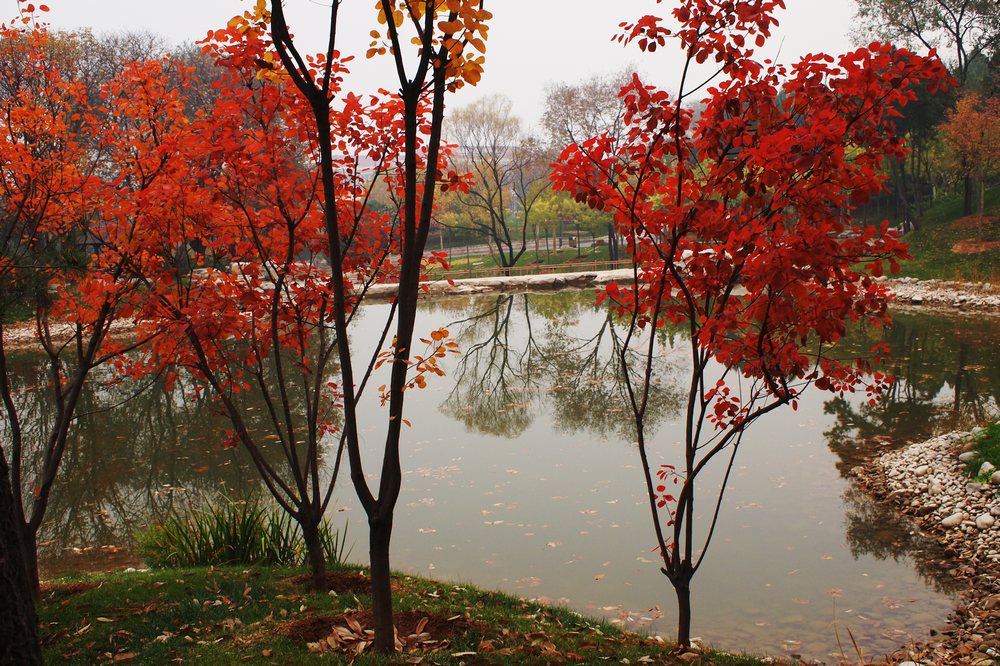 k1037170.jpg