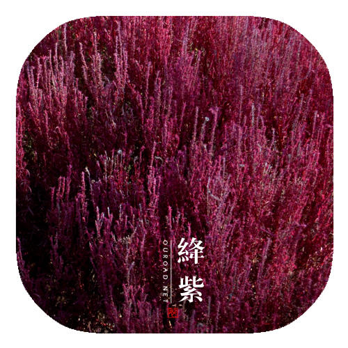 color_018.jpg