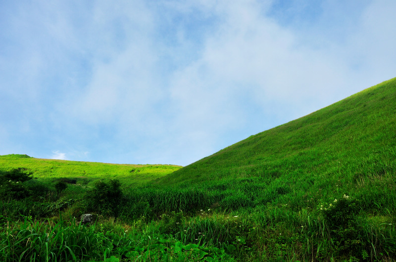 20100817_ce091203f083a57bpcnioibd.jpg
