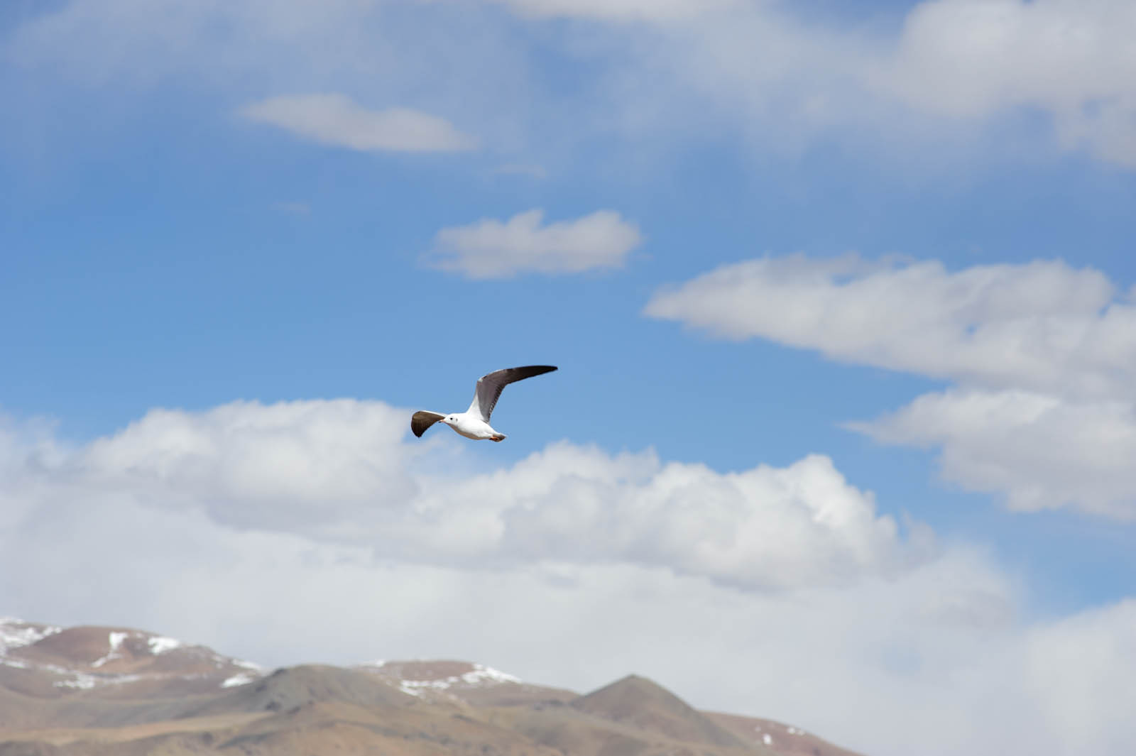 20111007-˫;-Ȳ-2.jpg