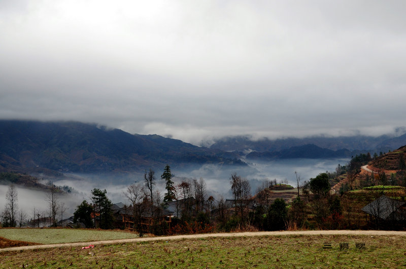 dsc_8017.jpg