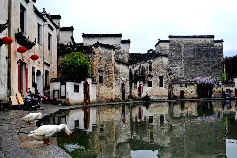 dsc_0104_conew1.jpg