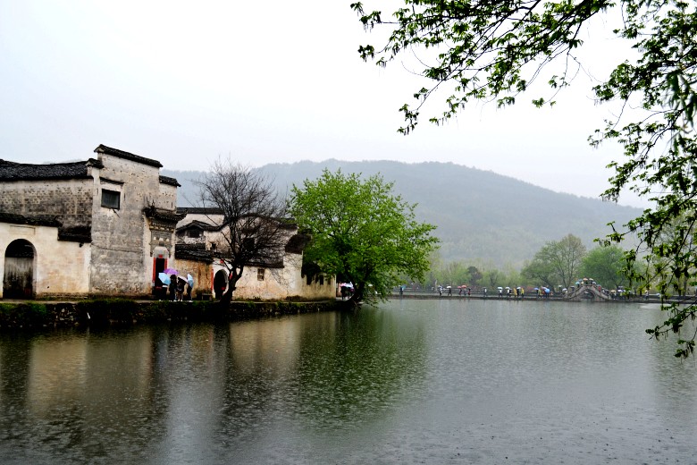 dsc_0160_conew1.jpg