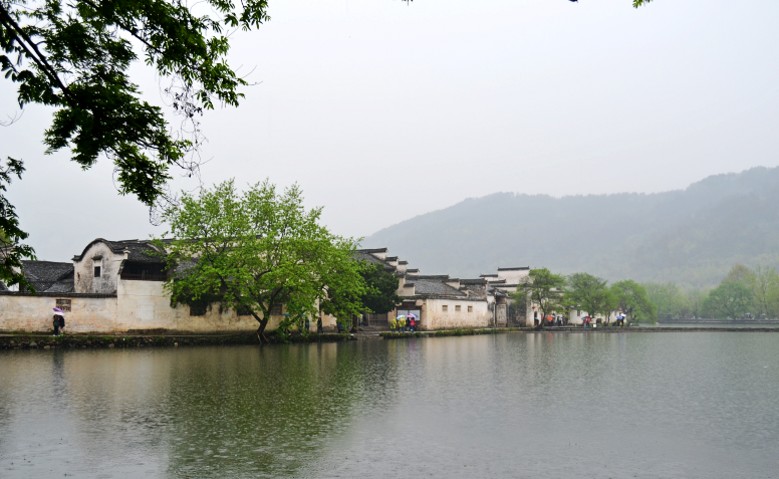 dsc_0155_conew1.jpg