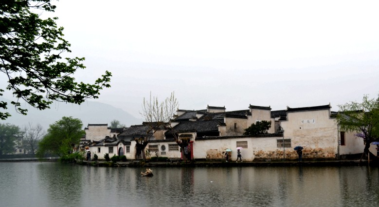 dsc_0135_conew1.jpg