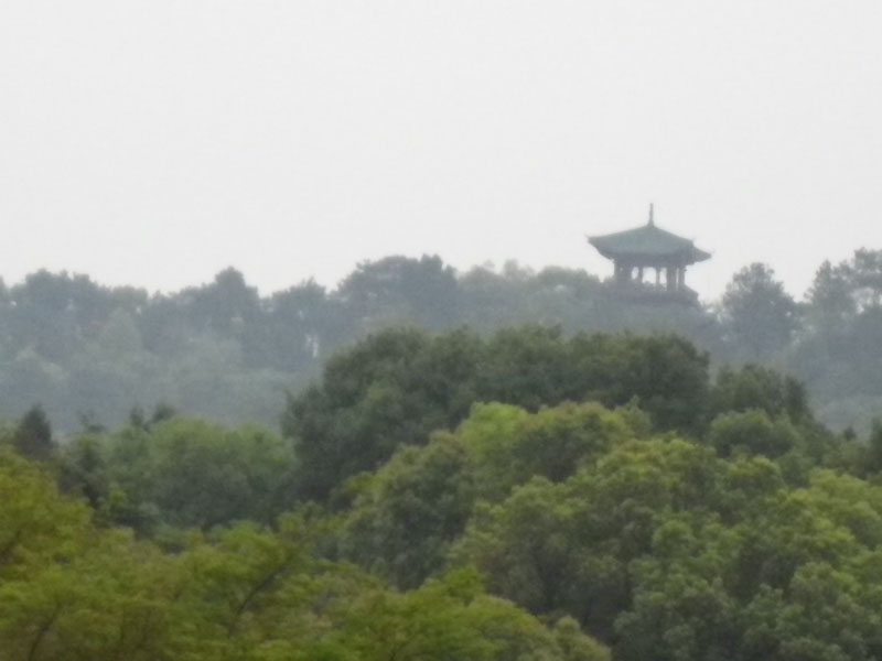 imgp0225.jpg
