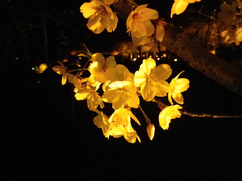 imgp0114.jpg