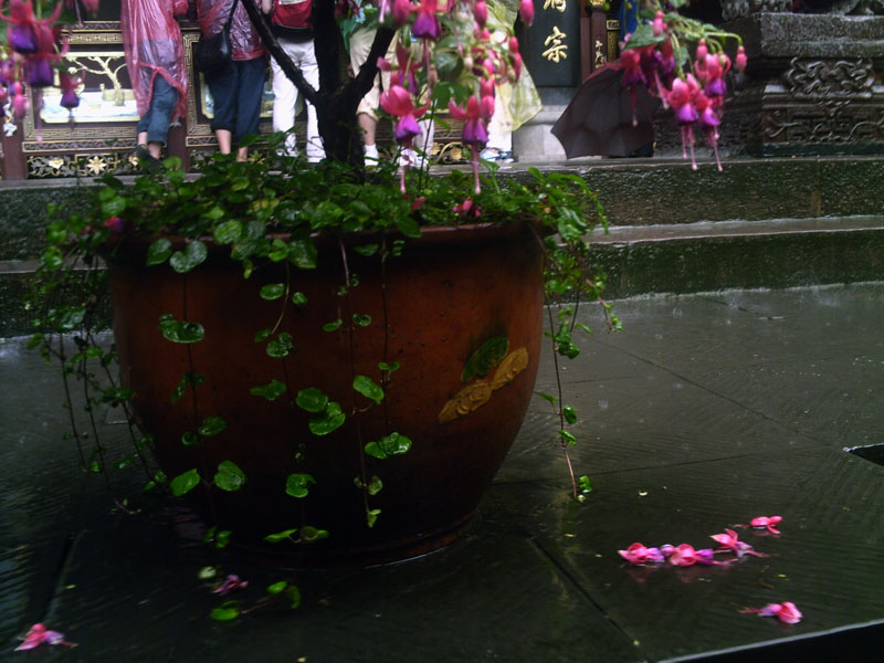 pict0161.jpg