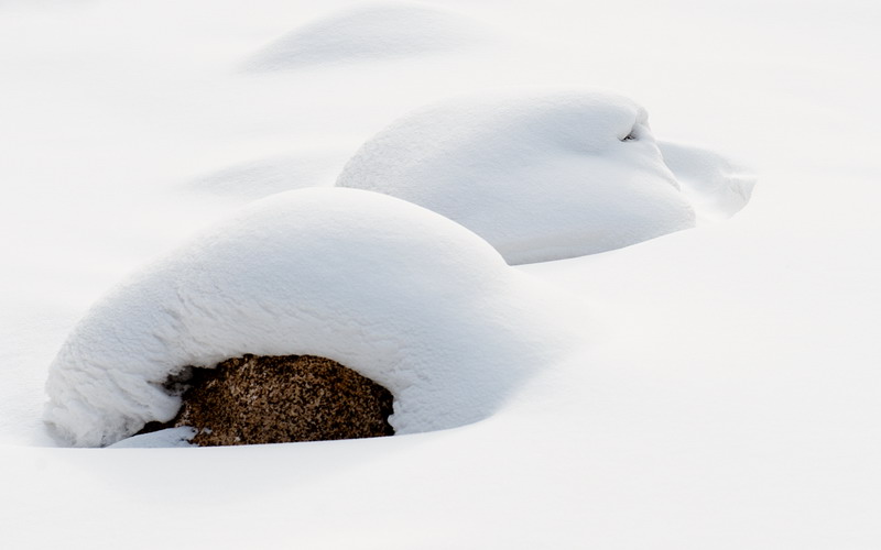 dsc_7064_СС.jpg