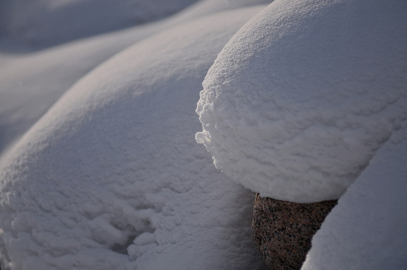dsc_4397_СС.jpg