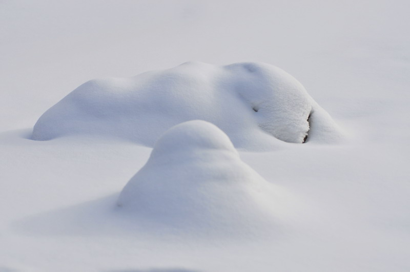 dsc_4444_СС.jpg