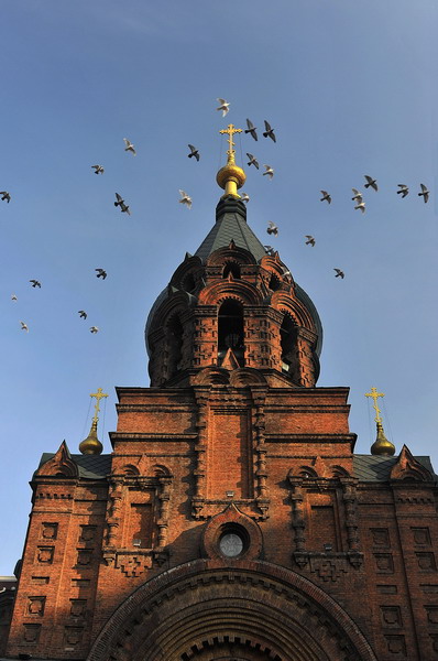 dsc_2376_СС.jpg
