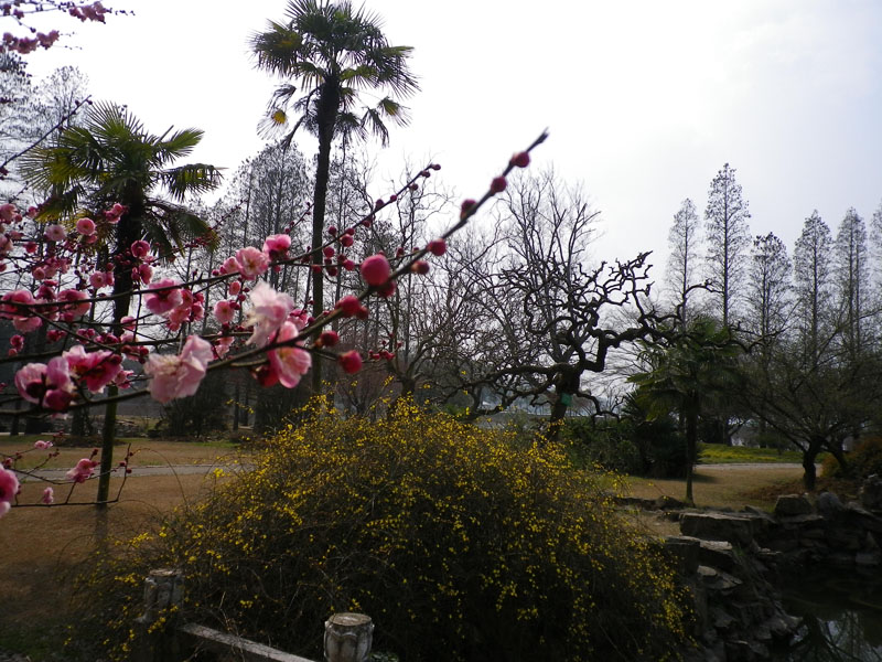 imgp0974.jpg