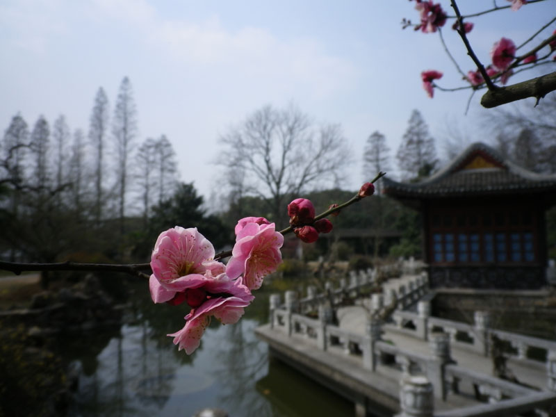 imgp0977.jpg