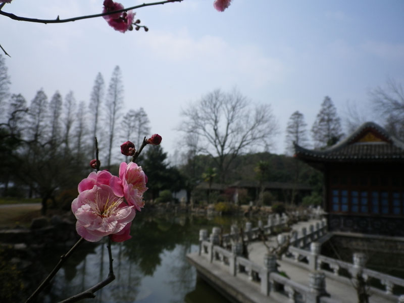 imgp0978.jpg