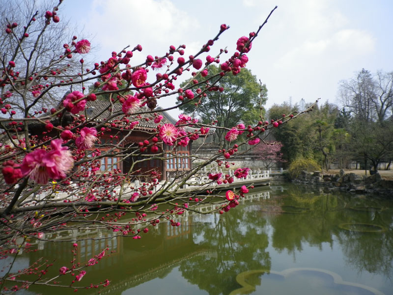 imgp0990.jpg