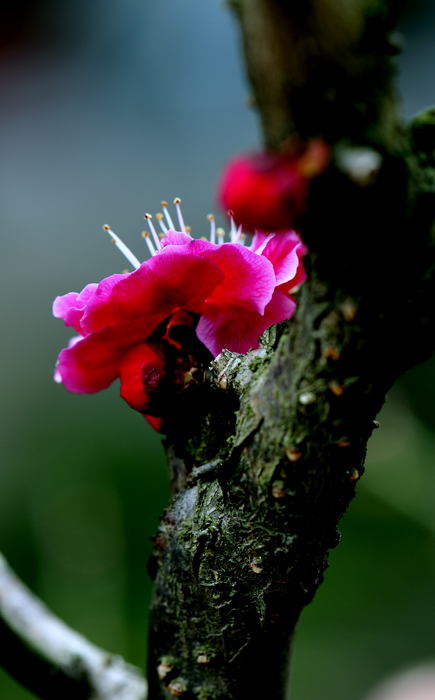 _dsc0640.jpg
