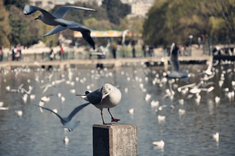 dsc_0120_.jpg