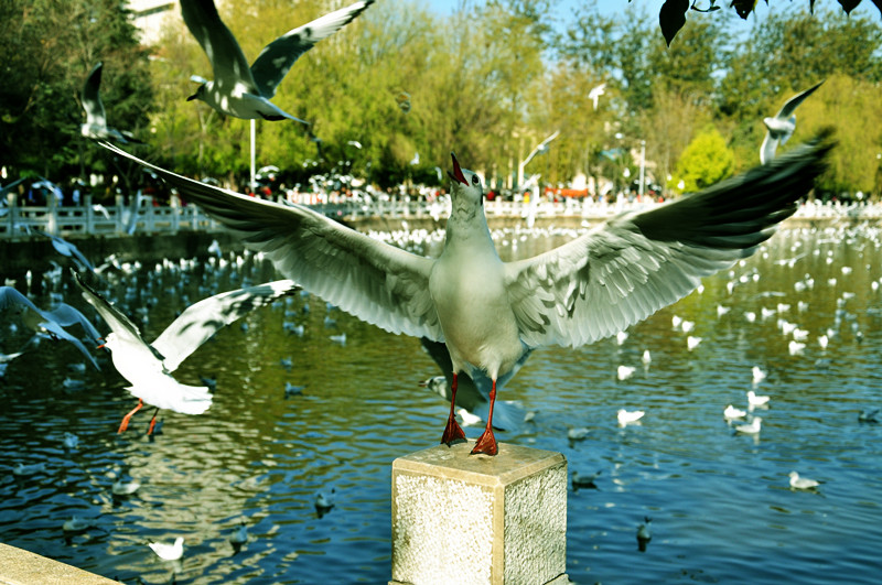 dsc_0195_.jpg