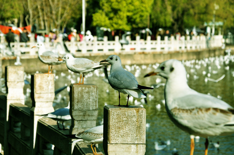 dsc_0138_.jpg