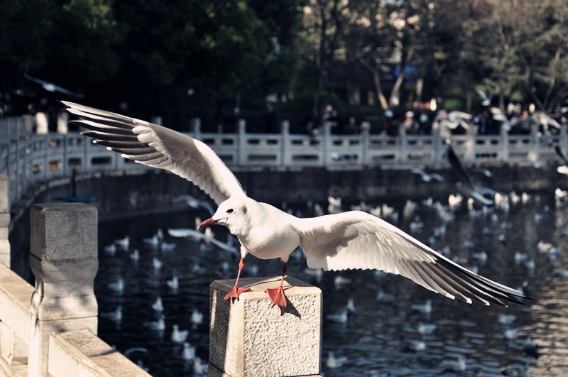 dsc_0181_.jpg