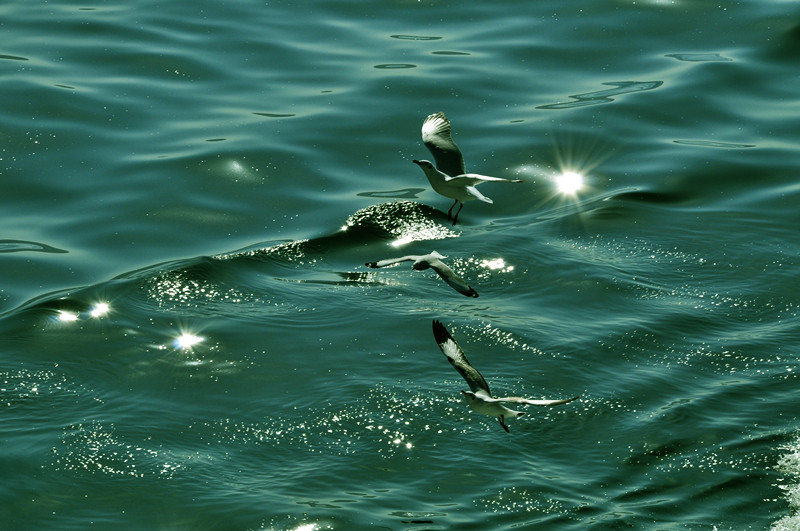 dsc_0525_.jpg