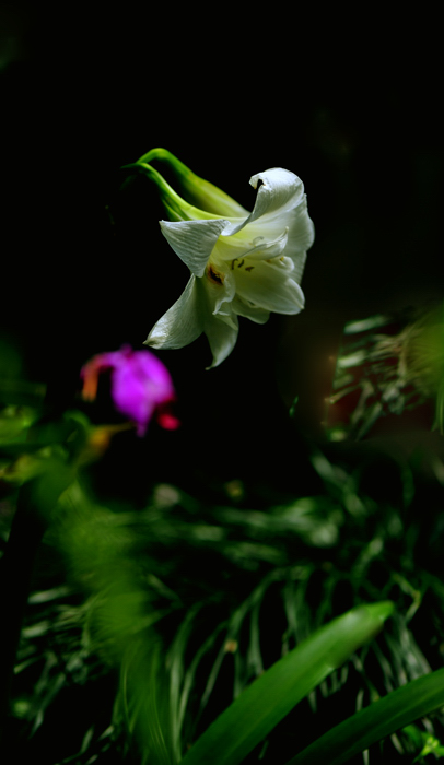 _dsc0788.jpg