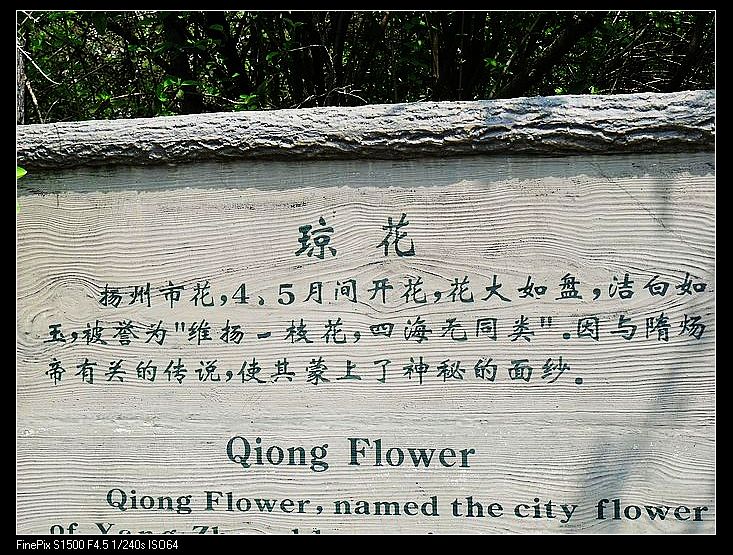 Ƭ 655.jpg