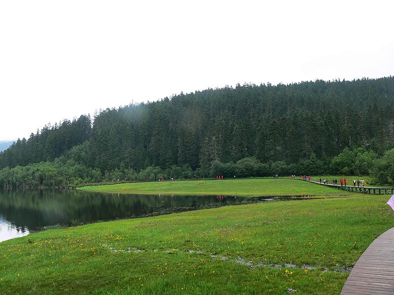 p1160201.jpg