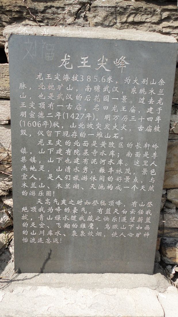 neo_img_dsc06069.jpg