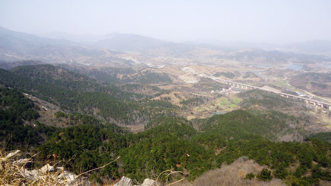 neo_img_dsc06098.jpg