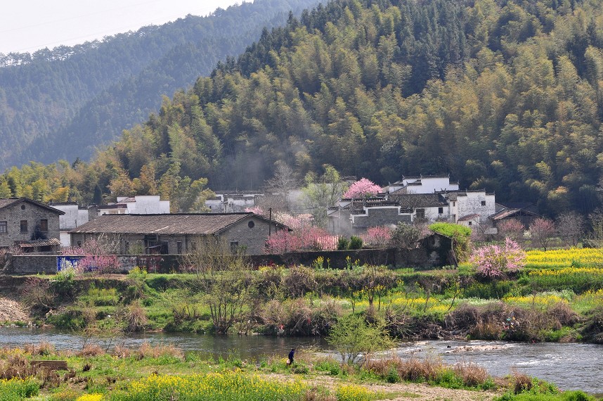 dsc_0218_Ŀѹ.jpg