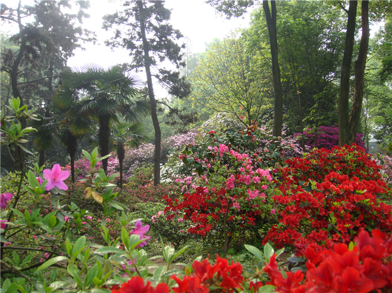 dsc05337_.jpg