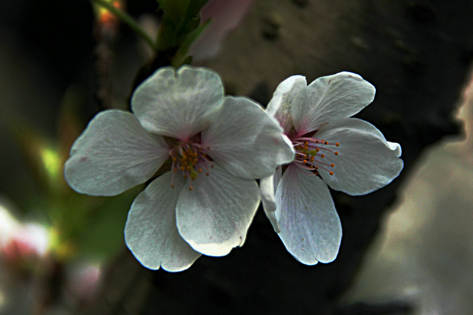 img_1587.jpg