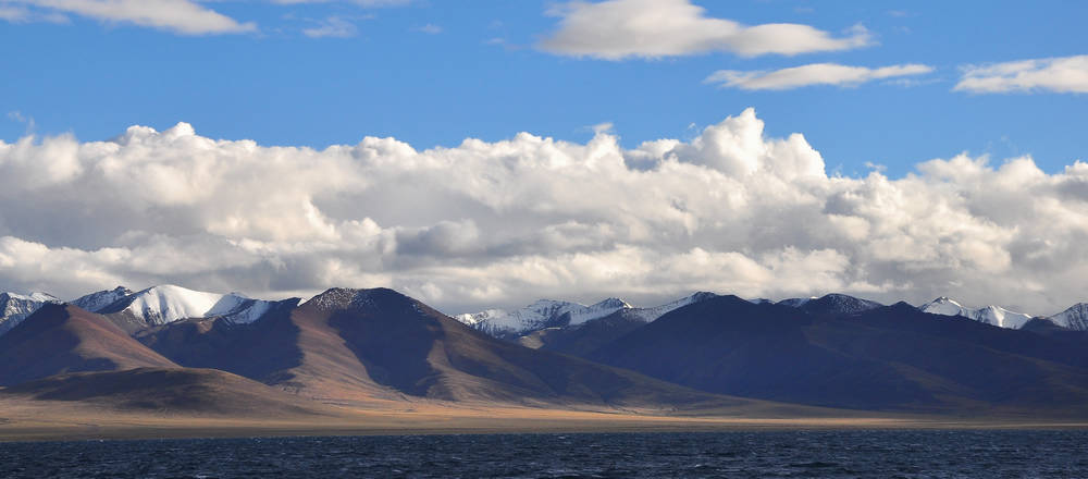 adsc_0222.jpg