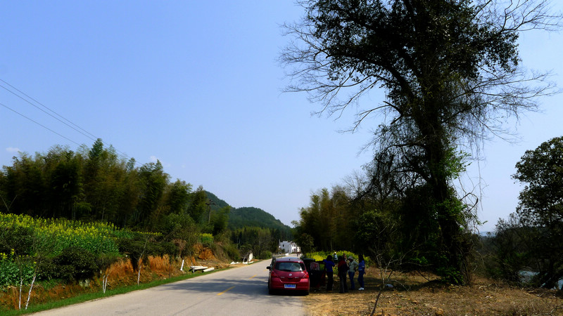 p1080942.jpg