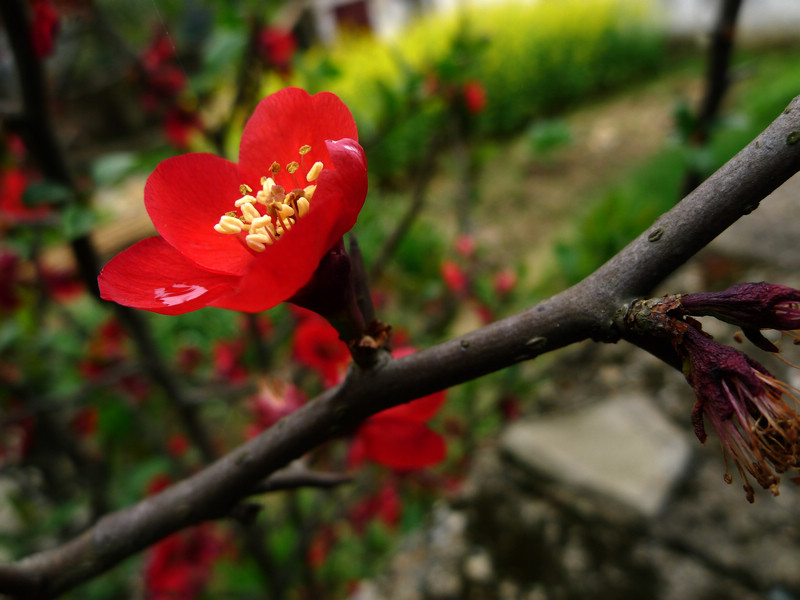 p1090128.jpg